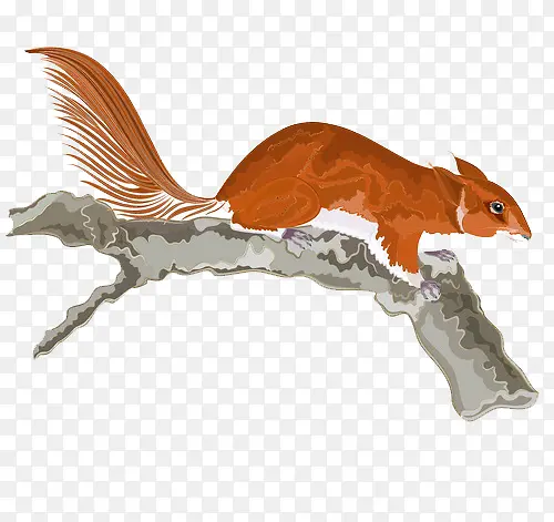 ��֦�ϵ�����-������