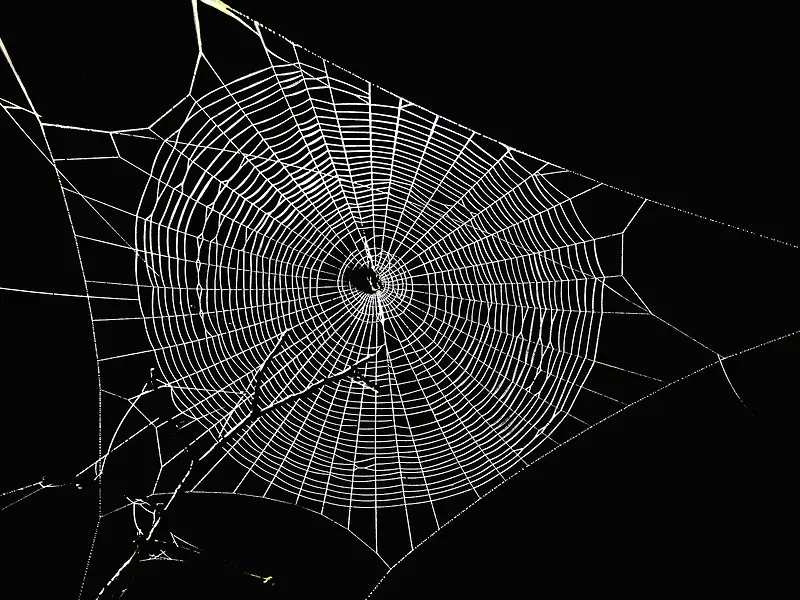 ֯������-������