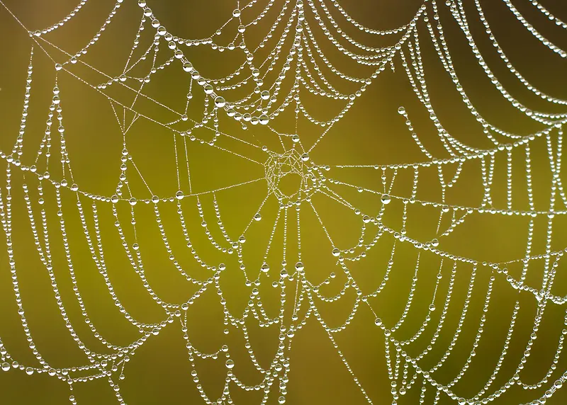 ֩�����λñ���-������