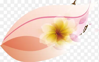 ��Լ���� ��-������