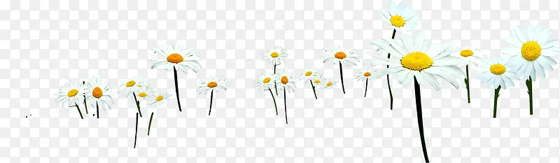 �����ɫ��Լ����-������