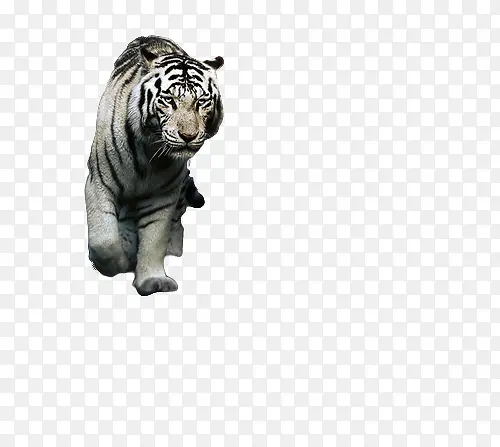 �����ϻ�-������