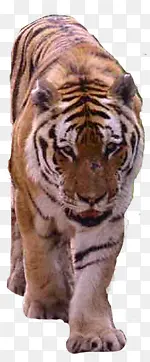 �ϻ�-������