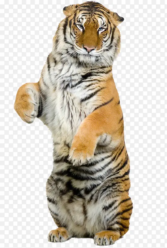 �ϻ�-������