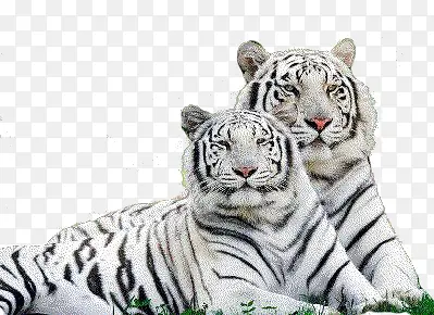 �׻�-������