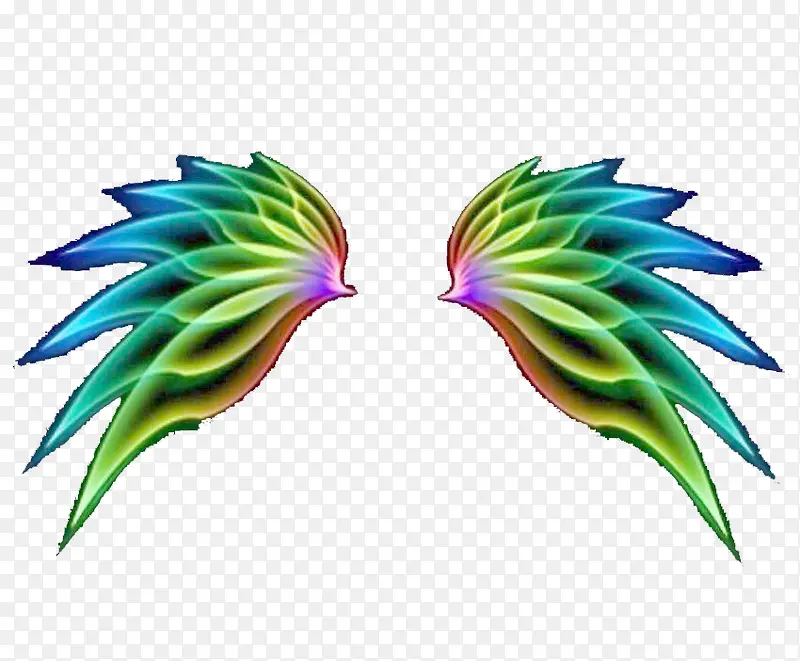 ��ɫ���-������