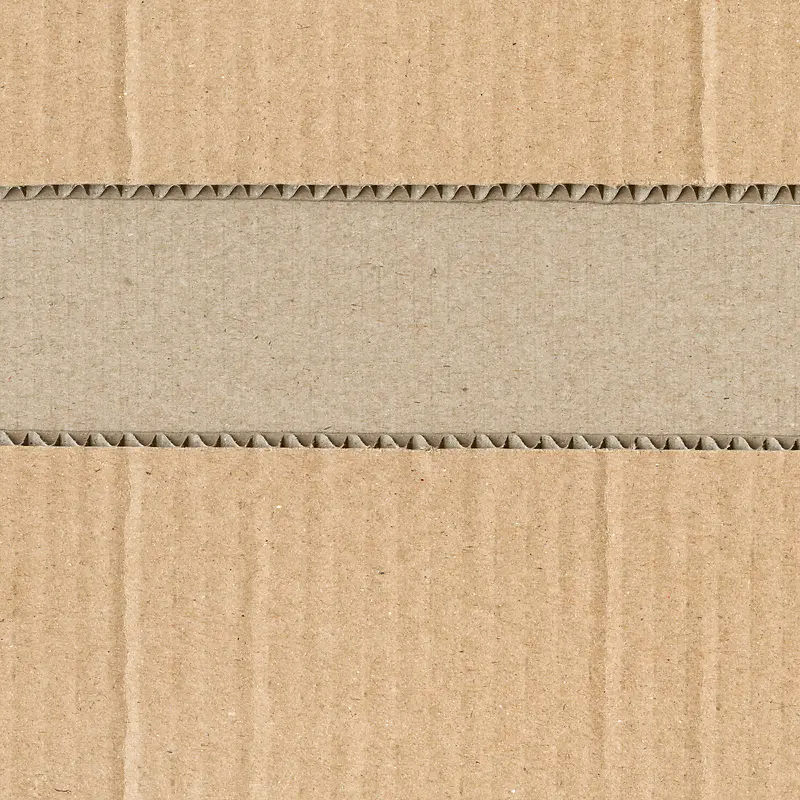 ����ֽ����-������