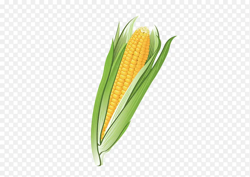 ����-������