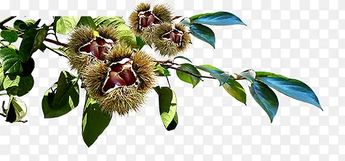 װ��ͼ��-������