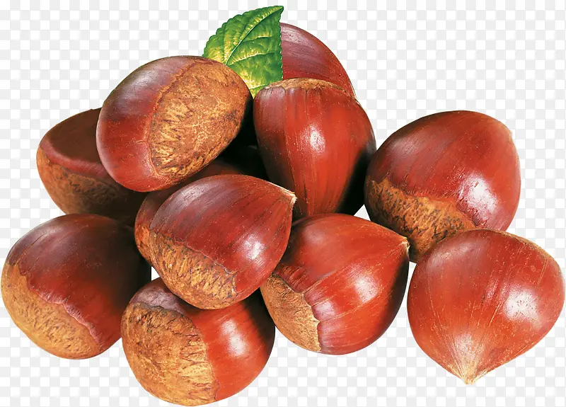 ���� ʳ��-������