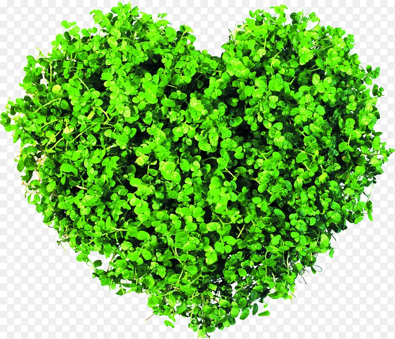 ������Ҷ������-������