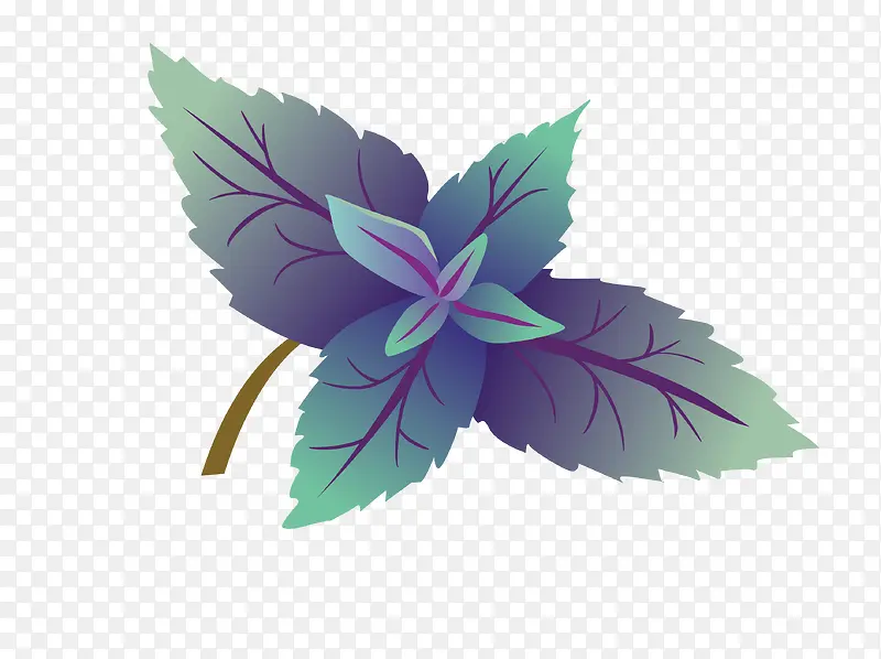 ʸ����ɫ�߲�Ҷ-������