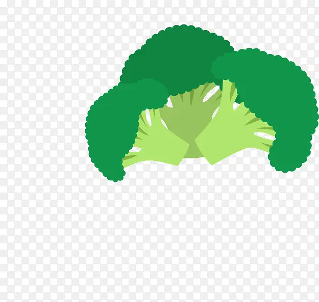 ʸ���ֻ�������-������