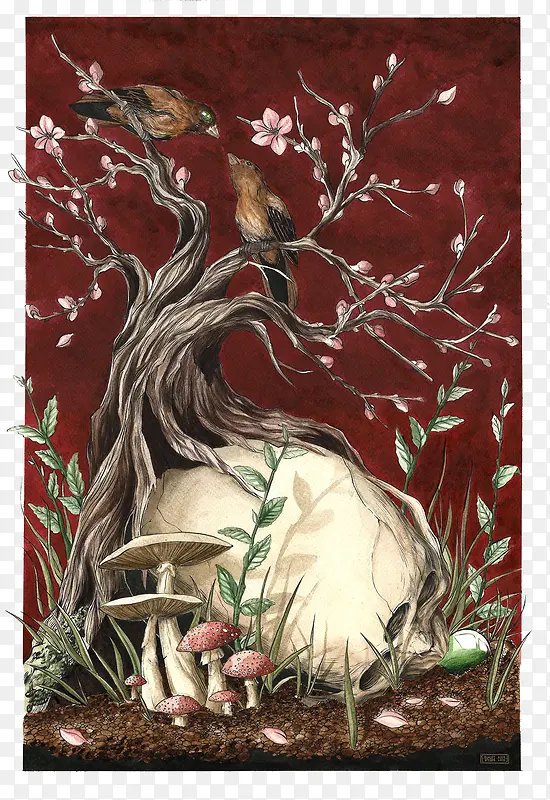 ���⾫�������޿򻭲�ͼ-������