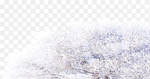 ����ѩ����-������