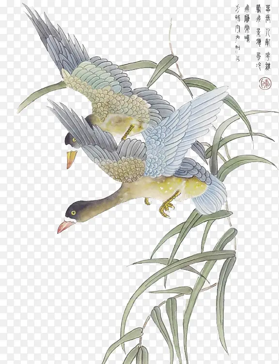 ��֦-������