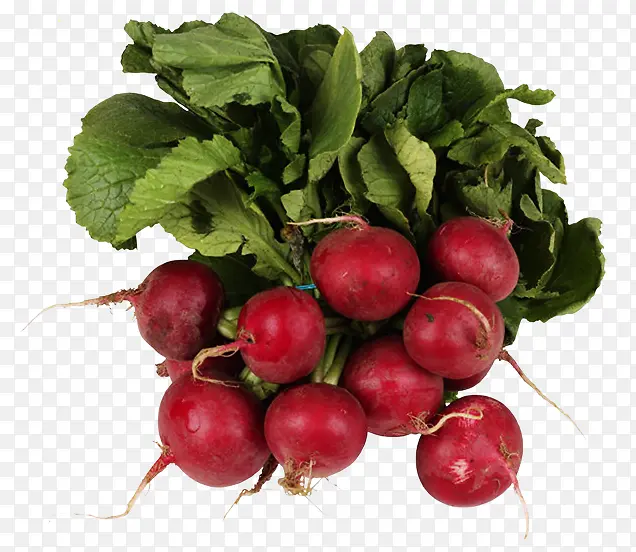 ʳ�����ܲ�-������