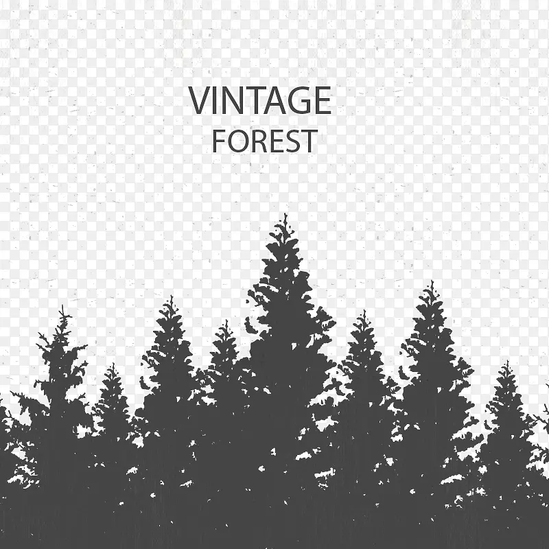 ��֦��֧����ʸ��-������