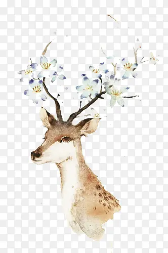 ��¹������������ͼ��-������