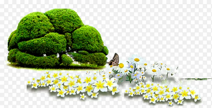 ��-������