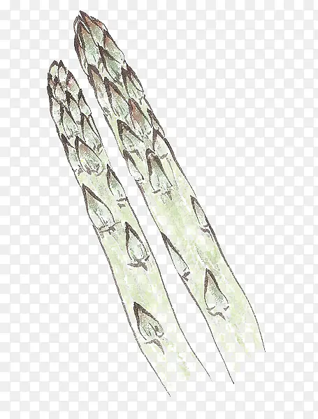 2��«��-������