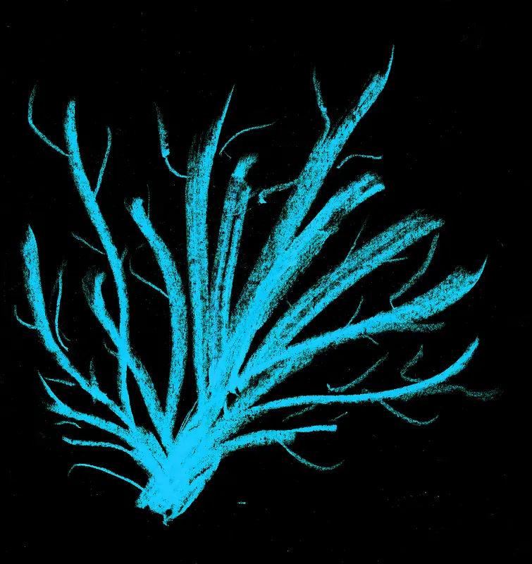 ��ɫ��������ɫ����-������