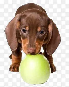 ��ͨ�����ֻ�ͼƬ ����ƻ��-������