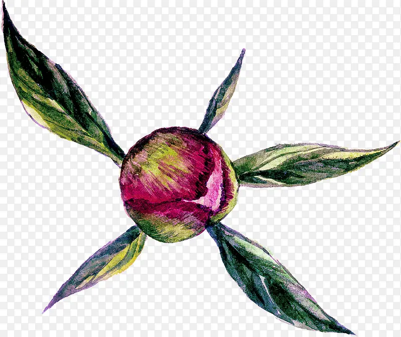 �ֻ�廭-������