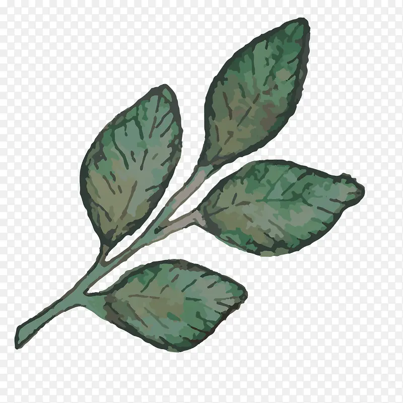 �ֻ�ֲ��-������