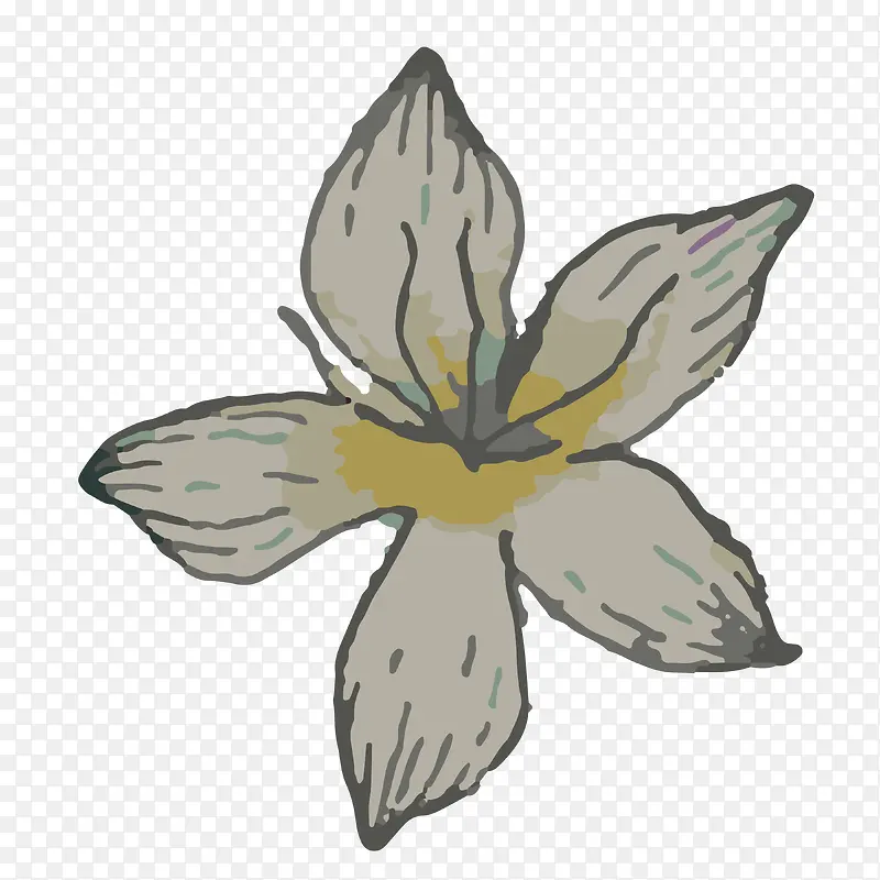 �ֻ�ֲ��-������