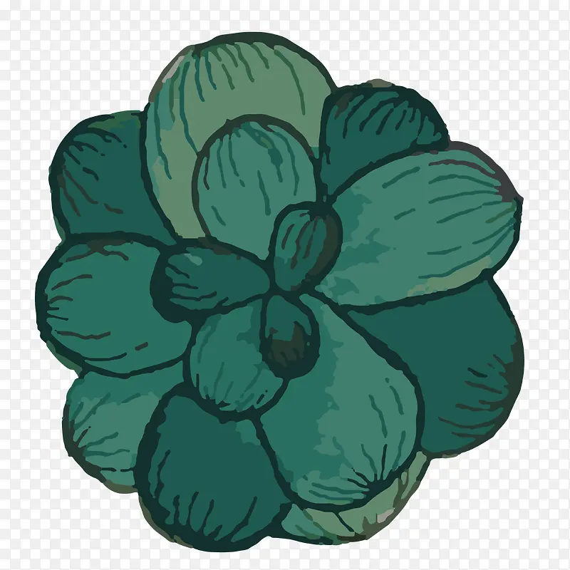 �ֻ�ֲ��-������