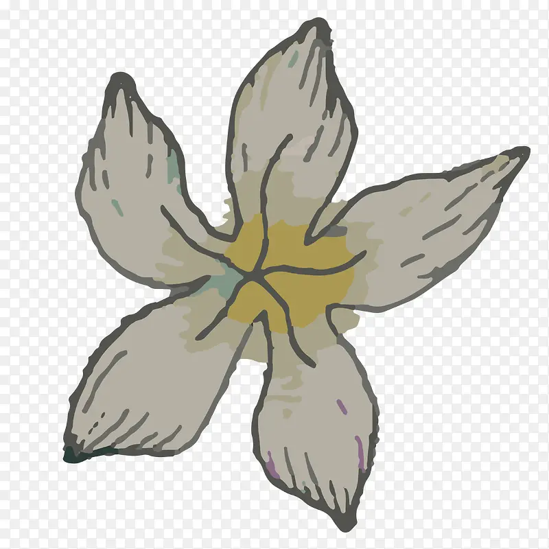 �ֻ�ֲ��-������