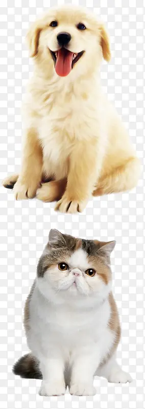 �ɰ���˳С������-������