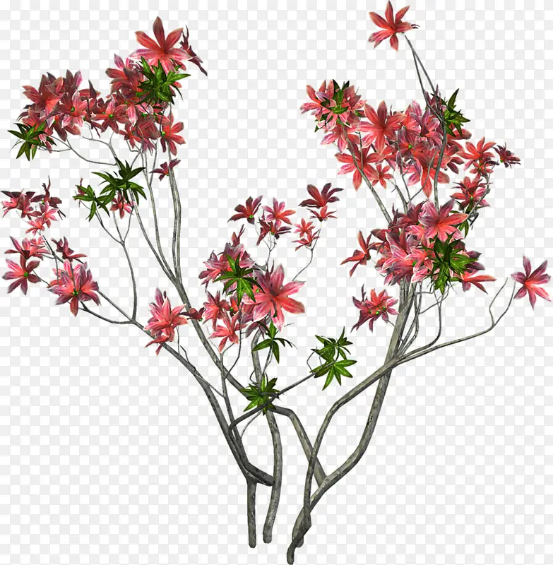 ֲ��С��-������