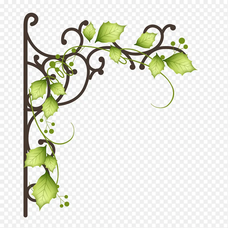 ��ɫ��������-������