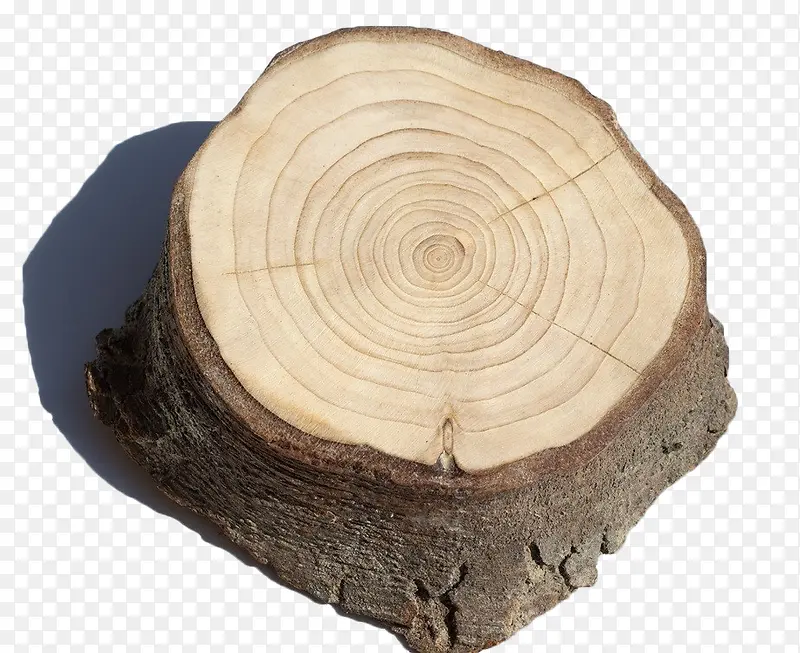 ��׮����-������