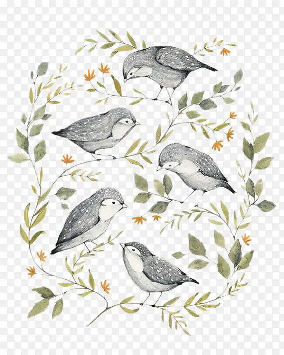 ��֦����-������