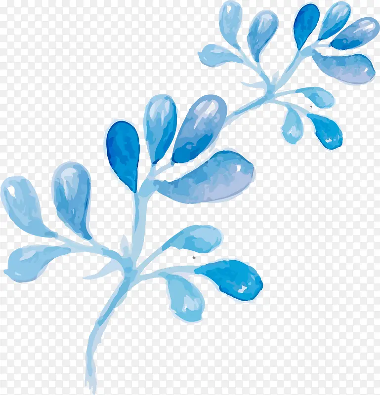 ˮ����Ҷ��֦-������