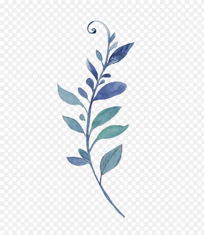 ��ɫ��֦-������