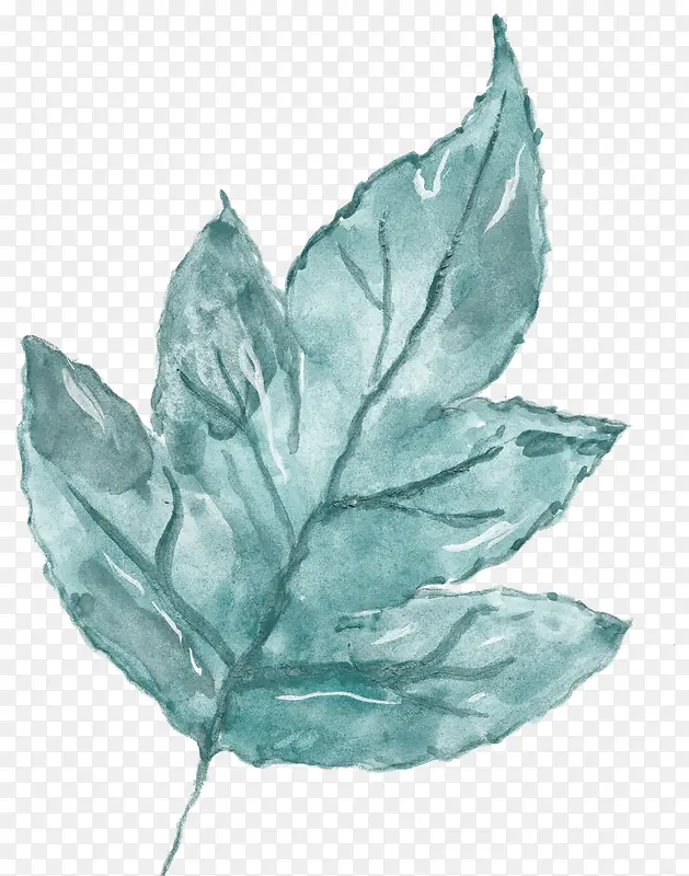 ��ɫˮ��Ҷ��-������