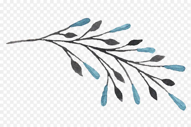 ˮ����֦-������