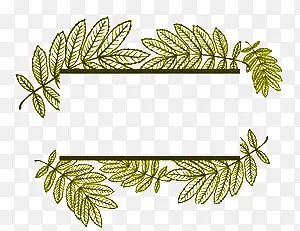 Ư����Ҷ-������