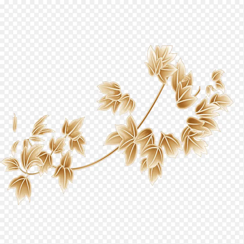 ��ʽ�ʵ���Ҷ��֦-������