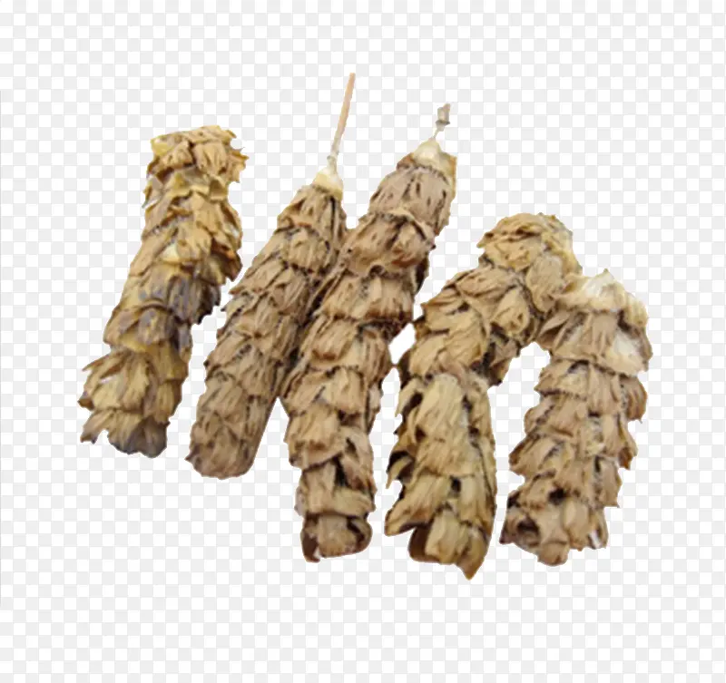 �Ŀݲݰ�鳲��ز�-������