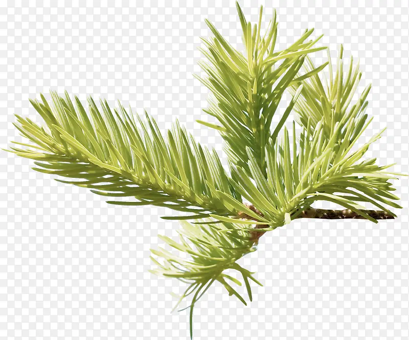 ��-������