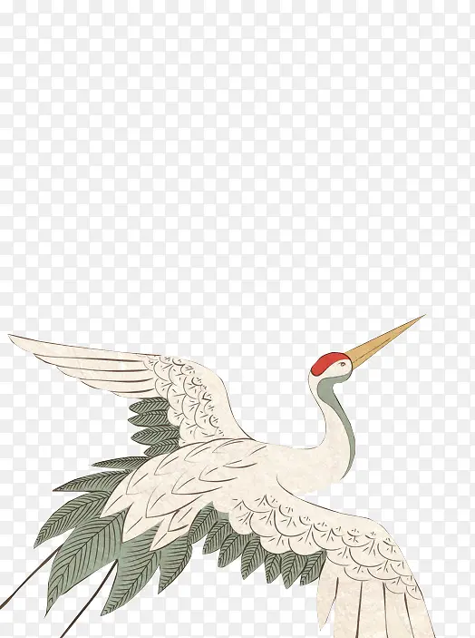 չ��İ�ɫ�ɺ�-������