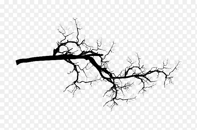 ����֦������-������