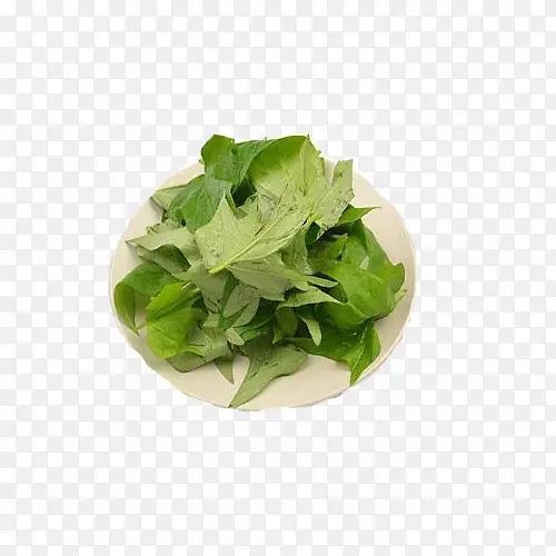 �����߲�-������