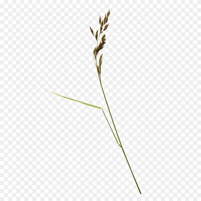 Ұ��-������