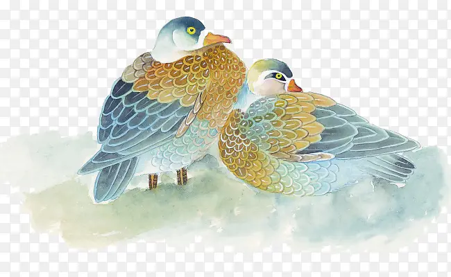 �ֻ�ԧ��-������